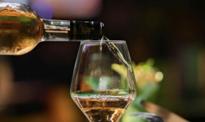 Wine Down Wednesday at Terra Tempe