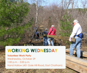 Working Wednesday at Hand Hollow