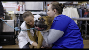 PetVet Pop-Up Clinic
