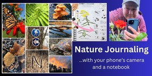 Nature Journaling: A Smartphone & Notebook