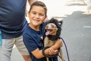 McLean Pet Fest