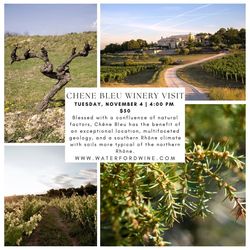 Haut Couture in Viticulture: Chene Bleu winery visit