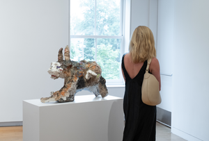 Sunday Afternoon Tour