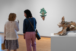 Sunday Afternoon Tour