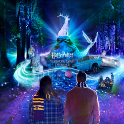 Harry Potter: A Forbidden Forest Experience