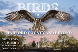 Birds of Harford County and Beyond