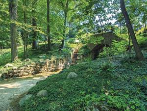 Guided Forest Therapy