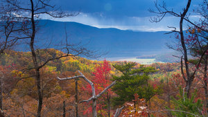 Rich Mountain Naturalist Ramble