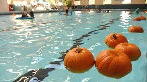 Pumpkin Plunge