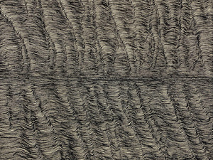 Experimental Drawing Workshop