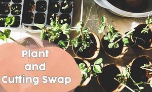 Plant and Cutting Swap