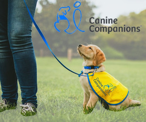 All About Service Dogs - Canine Companions