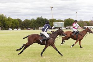 Aging Mind Foundation 2025 Polo Cup