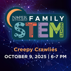 Family STEM Night: Creepy Crawlies at Naper Settlement