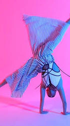 TEMPUS - Accelerate Acro Convention