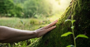 NBSO Presents “The Human Element”