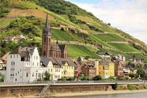 Southern Rhône: Beyond Châteauneuf-du-Pape