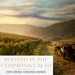 Rooted in the Commonwealth: Explore Virginia Wines
