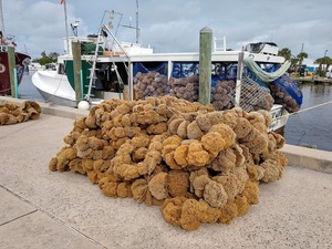 Tarpon Springs Sponge Docks Craft Festival Returns October 11 and 12
