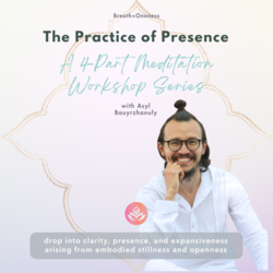 The Practice of Presence: A 4-Part Meditation Workshop Series