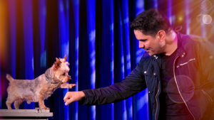 Magic Show – Illusionist Jason Bishop - Library Theatre: Hoover, Alabama 10/24/2025