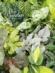 Plants in the Park Market & More