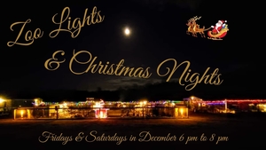 3 Palms Zoo Presents: Zoo Lights & Christmas Nights 2025