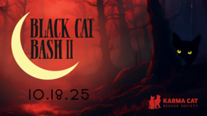 Black Cat Bash