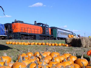 Ride “The Husking Bee” Pumpkin Patch Train