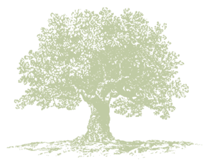 Arboretum Tour: Bonniecrest