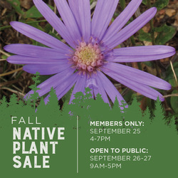 Chattahoochee Nature Center’s Fall Native Plant Sale
