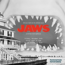 JAWS movie night at the New Canal Lighthouse
