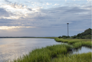 Watercolor Painting from Life Workshop with Local Artist Giselle Harrington