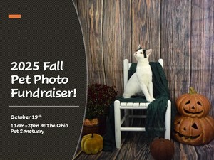 2025 Fall Pet Photo Fundraiser