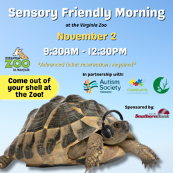 Sensory Friendly Morning