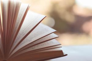Dollar Book Sale Fundraiser