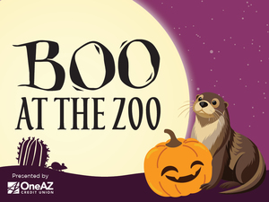 Boo at the Zoo 2025