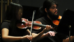 Pima String Ensemble: Fall Concert