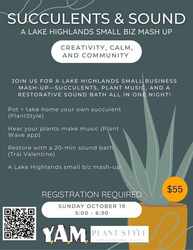 Succulents and Sound