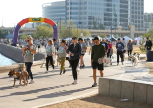 27th Annual Walk to Save Animals