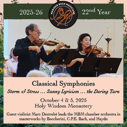 Classical Symphonies: Storm & Stress ... Sunny Lyricism ... the Daring Turn