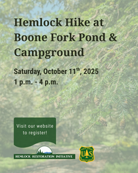 Hemlock Hike at Boone Fork Pond & Campground