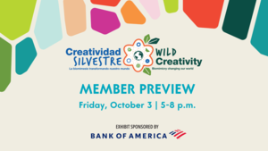 Members’ Preview: Creatividad Silvestre | Wild Creativity