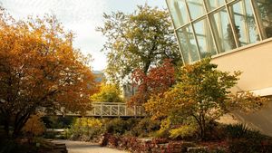 Urban Sketching for Beginners