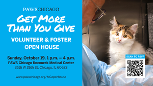 Volunteer & Foster Open House
