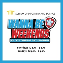 Wanna Be Weekends at Museum of Discovery and Science