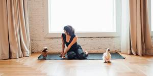 Chicken Yoga with Yoga Loft Tampa