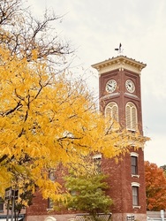 Celebrate Community Spirit at the Annual Octoberfeast in Chatham, NY