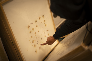 First Friday x October 2025