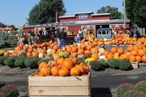 Reston Farm Garden Market - Fall Festival